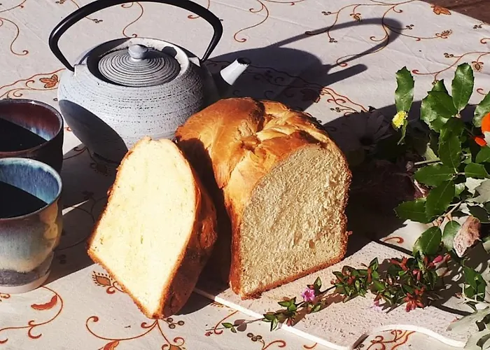 Bed & Breakfast Alegria