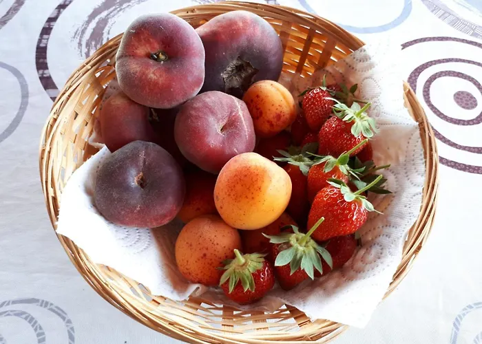 Alegria 3* Arbellara